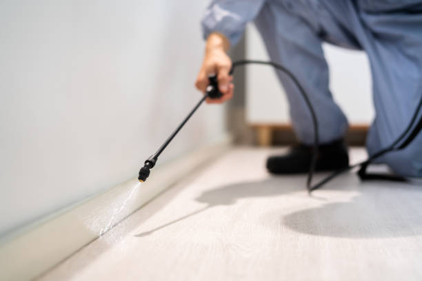 Licensed Pest Control service in Libby, MT - Show Me Pest Control