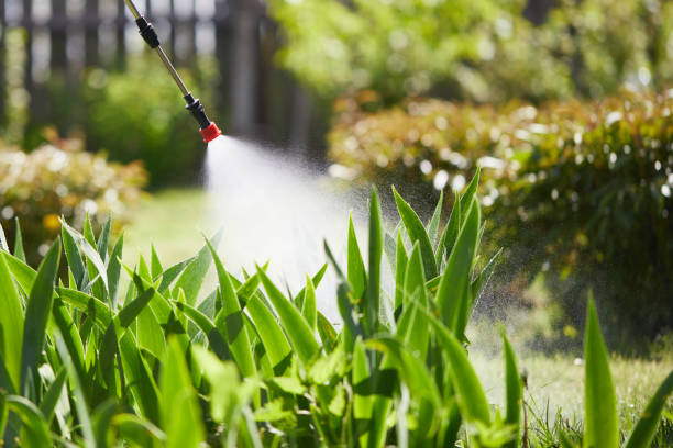 24/7 Emergency Mosquito Control experts in Libby, MT