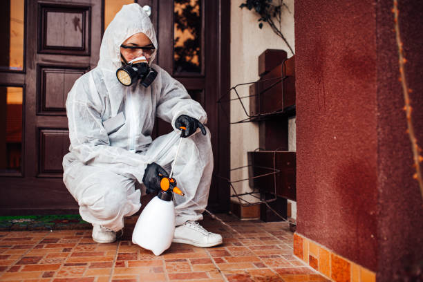 Reliable Mosquito Control contractor in Libby, MT by Show Me Pest Control